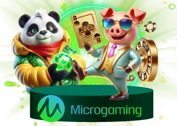 MICRO GAMING